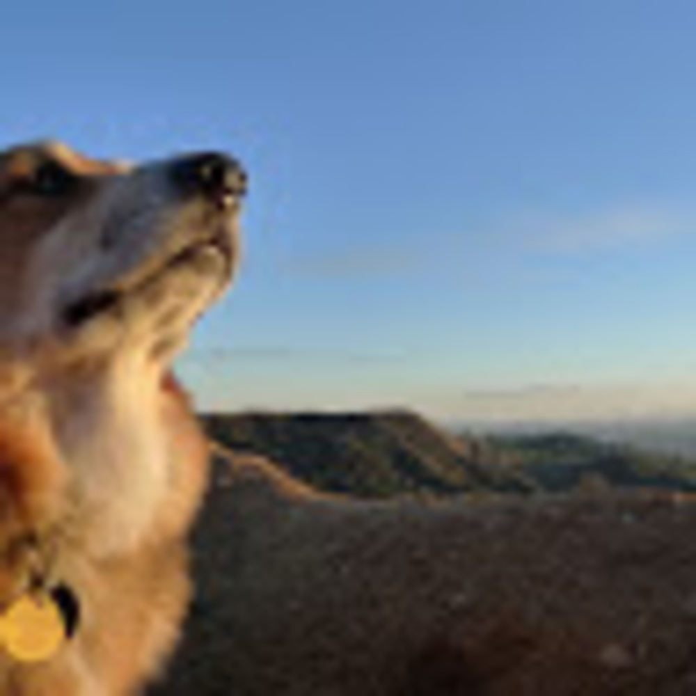 Meet your Posher, Sluong22